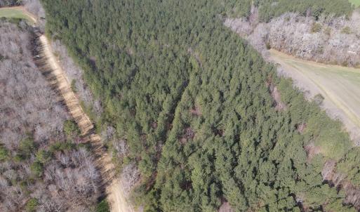 DJI_0775