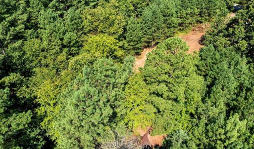 Photo #16 of Stagecoach, Oxford, NC 8.5 acres