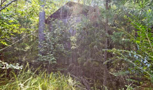 Photo #13 of Stagecoach, Oxford, NC 8.5 acres