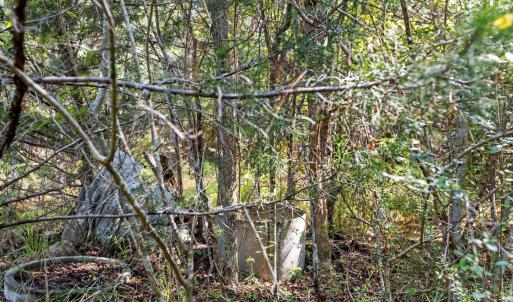 Photo #14 of Stagecoach, Oxford, NC 8.5 acres