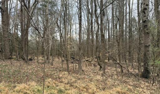 455092F3-634E-45BA-9936-6AB50AE488EF_1_1