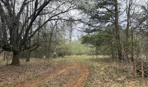 E6EEA5C4-878C-437F-8C78-64DEA8F8130E_1_1