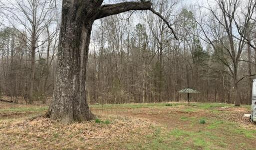 2D035A93-69F8-40A0-BDB5-4F84ABCBB1BC_1_1