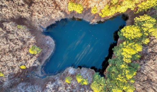 18-DJI_20260113084903_0117_D