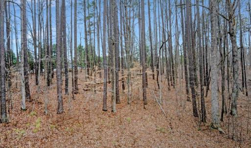 22-DJI_20260227135548