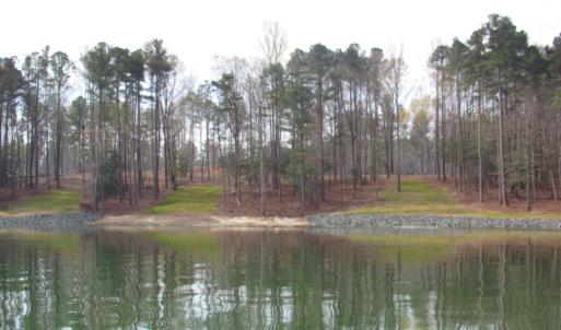 Water views (1)
