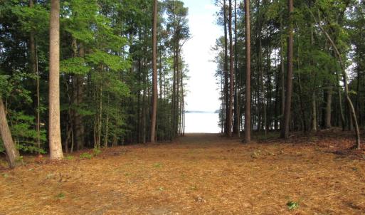 lot 6 (1)