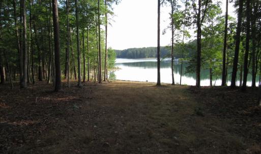 lot 7 (1)