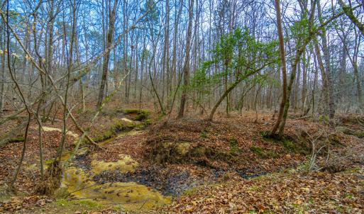 Jones Ferry Lots-15