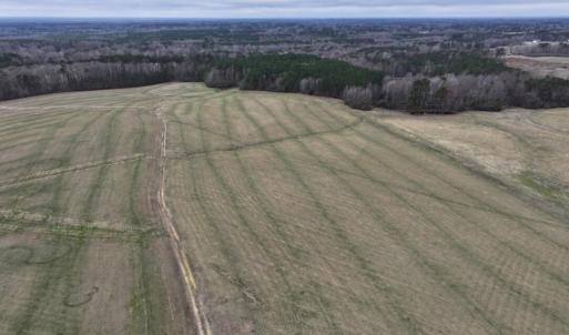 Screenshot 2026-03-09 113138