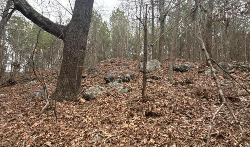 DJI_20260303_131222_261