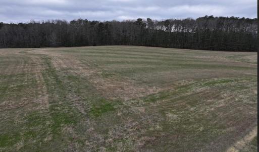 Screenshot 2026-03-09 113635