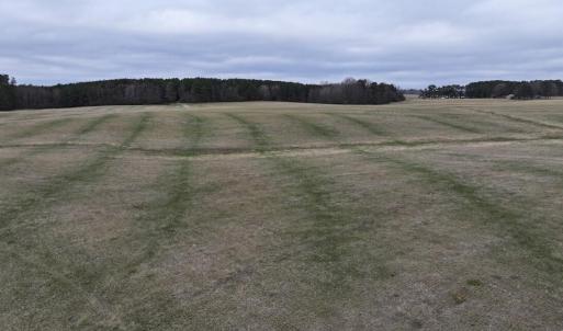 Screenshot 2026-03-09 114216