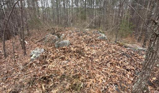 DJI_20260303_131246_976