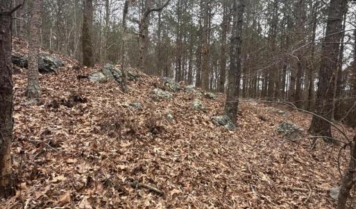 DJI_20260303_131227_743