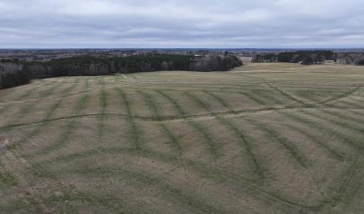 Screenshot 2026-03-09 114201