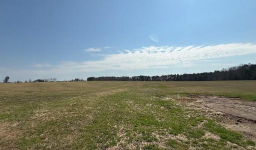 Screenshot 2026-03-09 114301