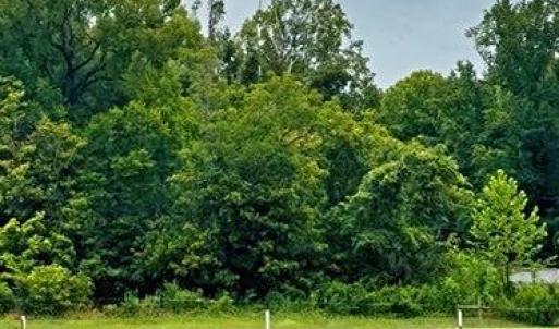 Photo #1 of Parham, Roxboro, NC 14.8 acres