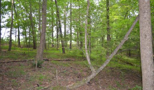 Lot near Lake Michael