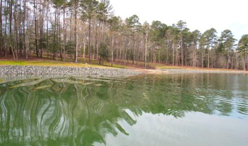 Water views (11)
