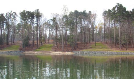Water views (1)
