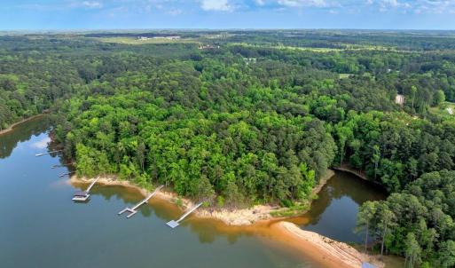 Buchanan Dock from Drone