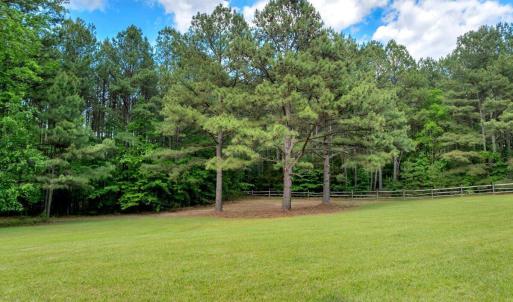 Buchanan Front Field
