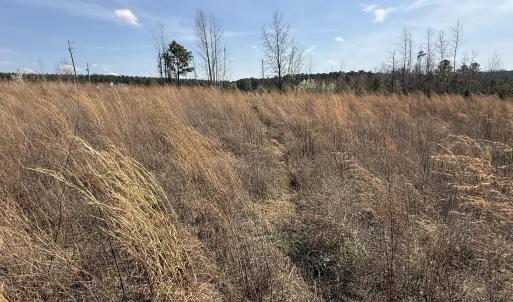 0 Burgess Road, Middlesex, NC 27557