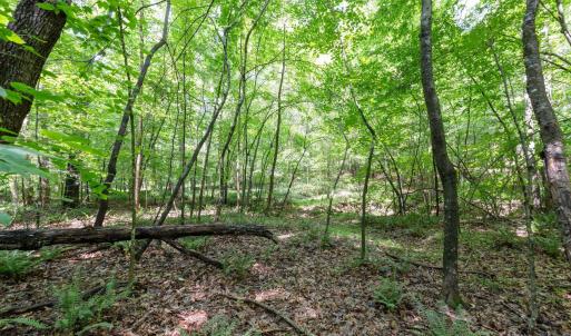 Photo #10 of 6910 Long Meadow, Whitsett, NC 20.6 acres