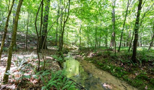 Photo #13 of 6910 Long Meadow, Whitsett, NC 20.6 acres