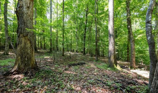 Photo #15 of 6910 Long Meadow, Whitsett, NC 20.6 acres