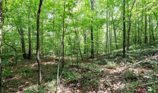 Photo #14 of 6910 Long Meadow, Whitsett, NC 20.6 acres