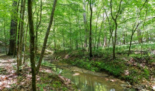 Photo #11 of 6910 Long Meadow, Whitsett, NC 20.6 acres