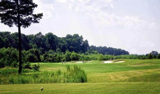 Belmont Golf Course 2