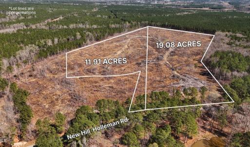 New Hill Holleman Rd 1