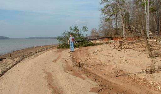 Duskany, Lot 5, beach