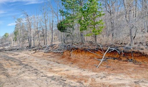 19-DJI_20260310093728