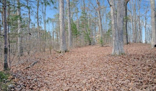 26-DJI_20260310094138