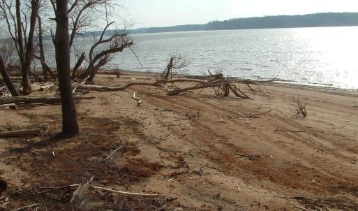 Duskany, Lot 5, beach2