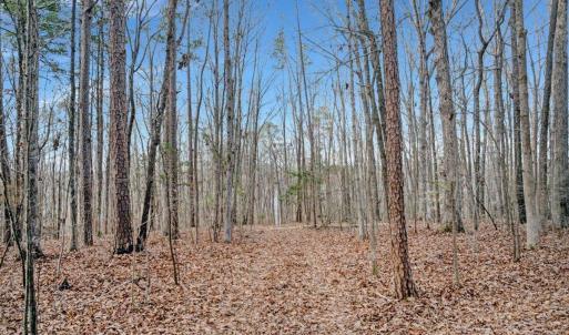 29-DJI_20260310094258