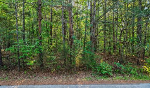 2-web-or-mls-untitled-2