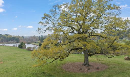 1-web-or-mls-untitled-11