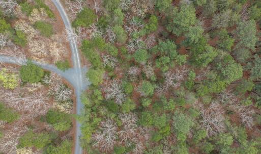 6-web-or-mls-untitled-10