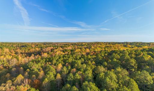 Fall Land 1