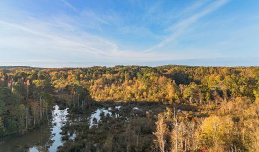 Fall Land 2