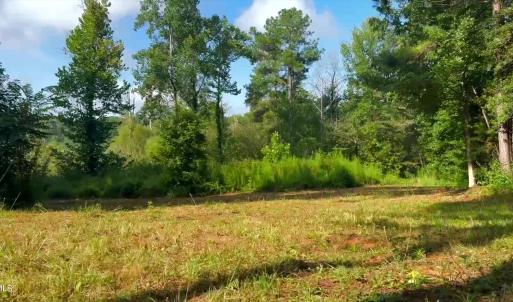 Land Image 4