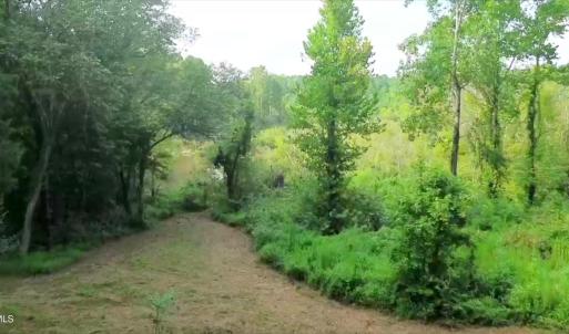 Land Image 8