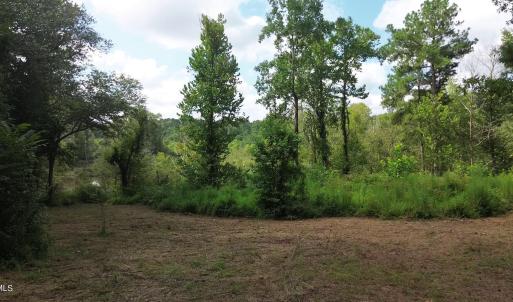 Land Image 12