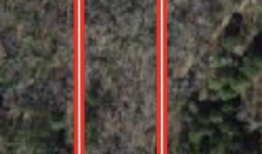 Screenshot 2026-03-20 at 10.00.25AM