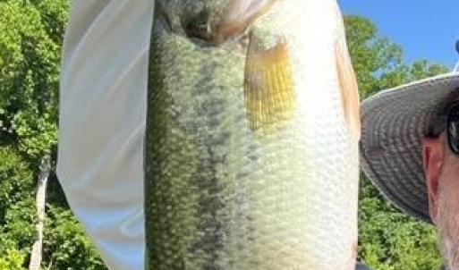 20240706023653454518000000-o